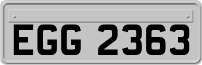 EGG2363