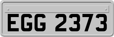 EGG2373