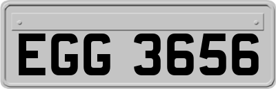 EGG3656