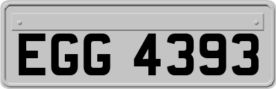 EGG4393