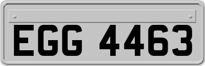 EGG4463