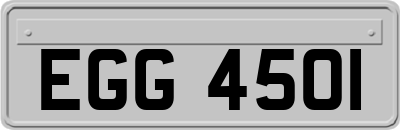 EGG4501
