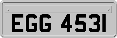 EGG4531