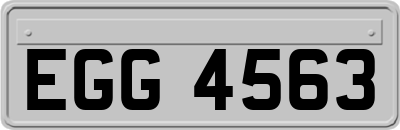 EGG4563