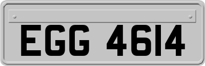 EGG4614