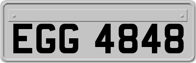 EGG4848