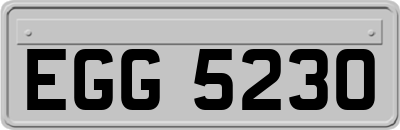 EGG5230