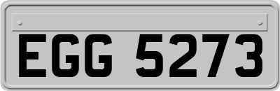 EGG5273