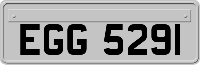 EGG5291