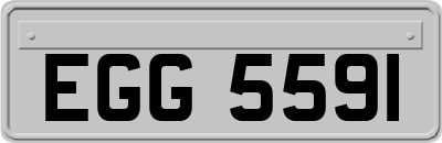 EGG5591