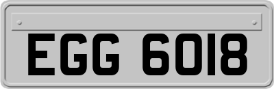 EGG6018