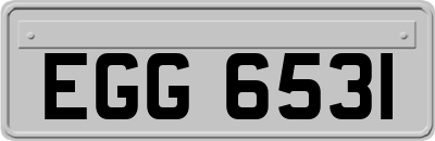 EGG6531