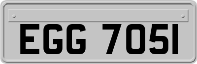 EGG7051