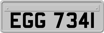 EGG7341