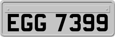 EGG7399