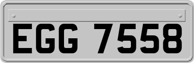 EGG7558