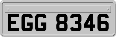 EGG8346