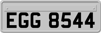 EGG8544
