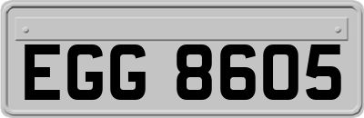 EGG8605