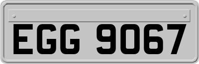 EGG9067