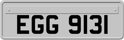 EGG9131