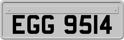 EGG9514