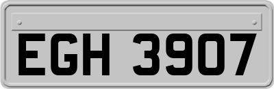 EGH3907