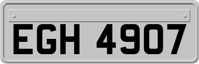 EGH4907