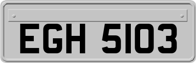 EGH5103