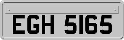 EGH5165
