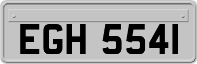 EGH5541