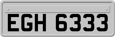 EGH6333