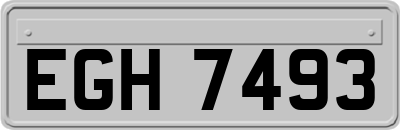 EGH7493