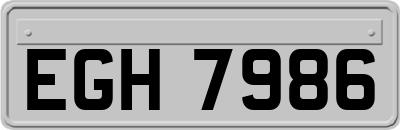 EGH7986