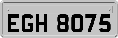 EGH8075