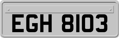 EGH8103