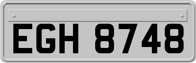 EGH8748