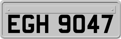 EGH9047