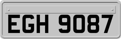 EGH9087