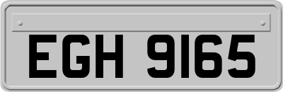EGH9165