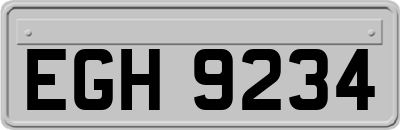 EGH9234