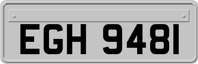 EGH9481