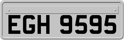 EGH9595