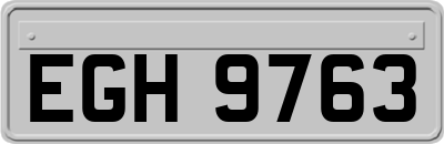 EGH9763