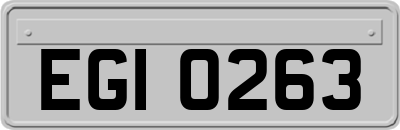 EGI0263