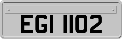 EGI1102