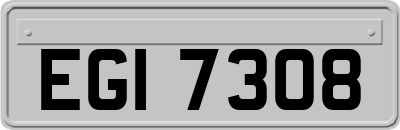 EGI7308