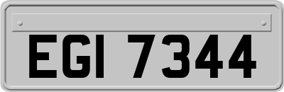 EGI7344