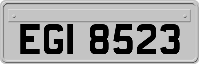 EGI8523