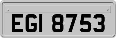 EGI8753